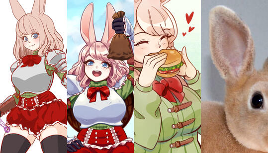 Acceptable visual references